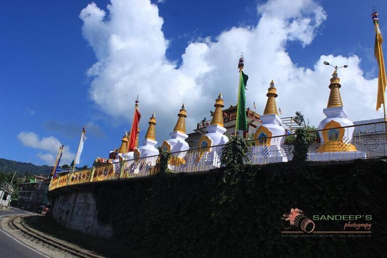 Recent Darjeeling 1