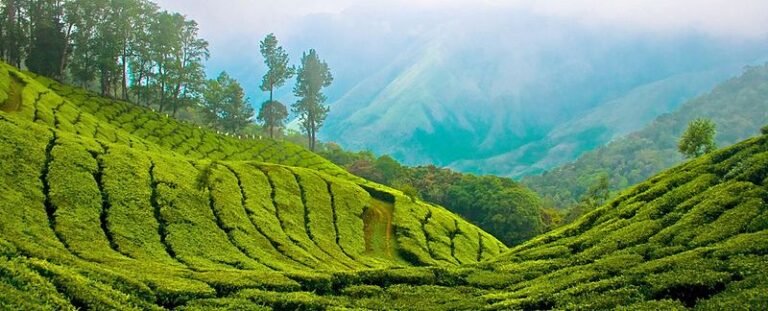 Books on Darjeeling 9