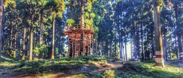 Phuguri Eco-Park new tourist destination in Mirik 12