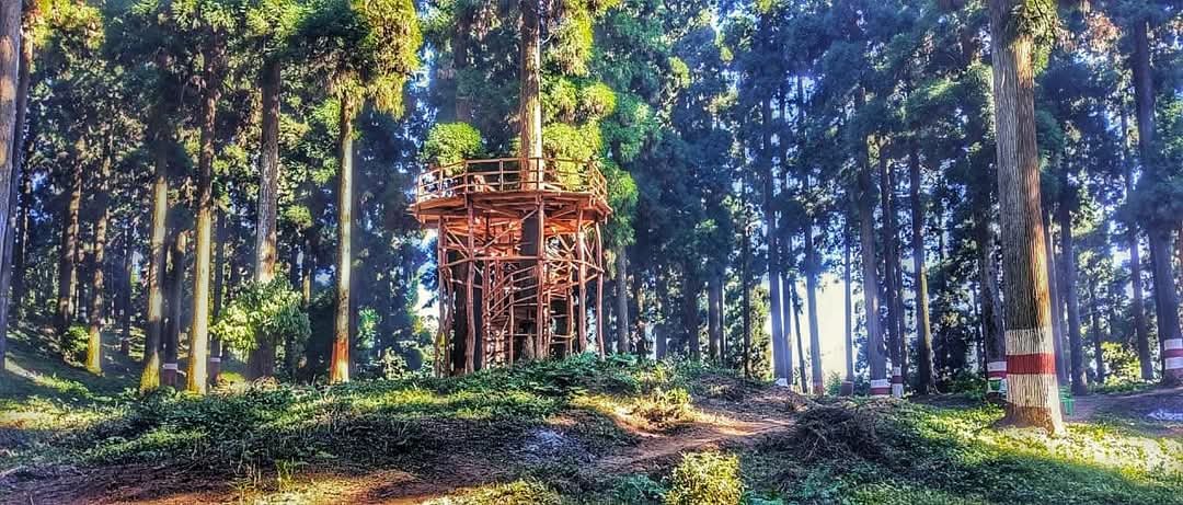 Phuguri Eco-Park in Mirik - view 1