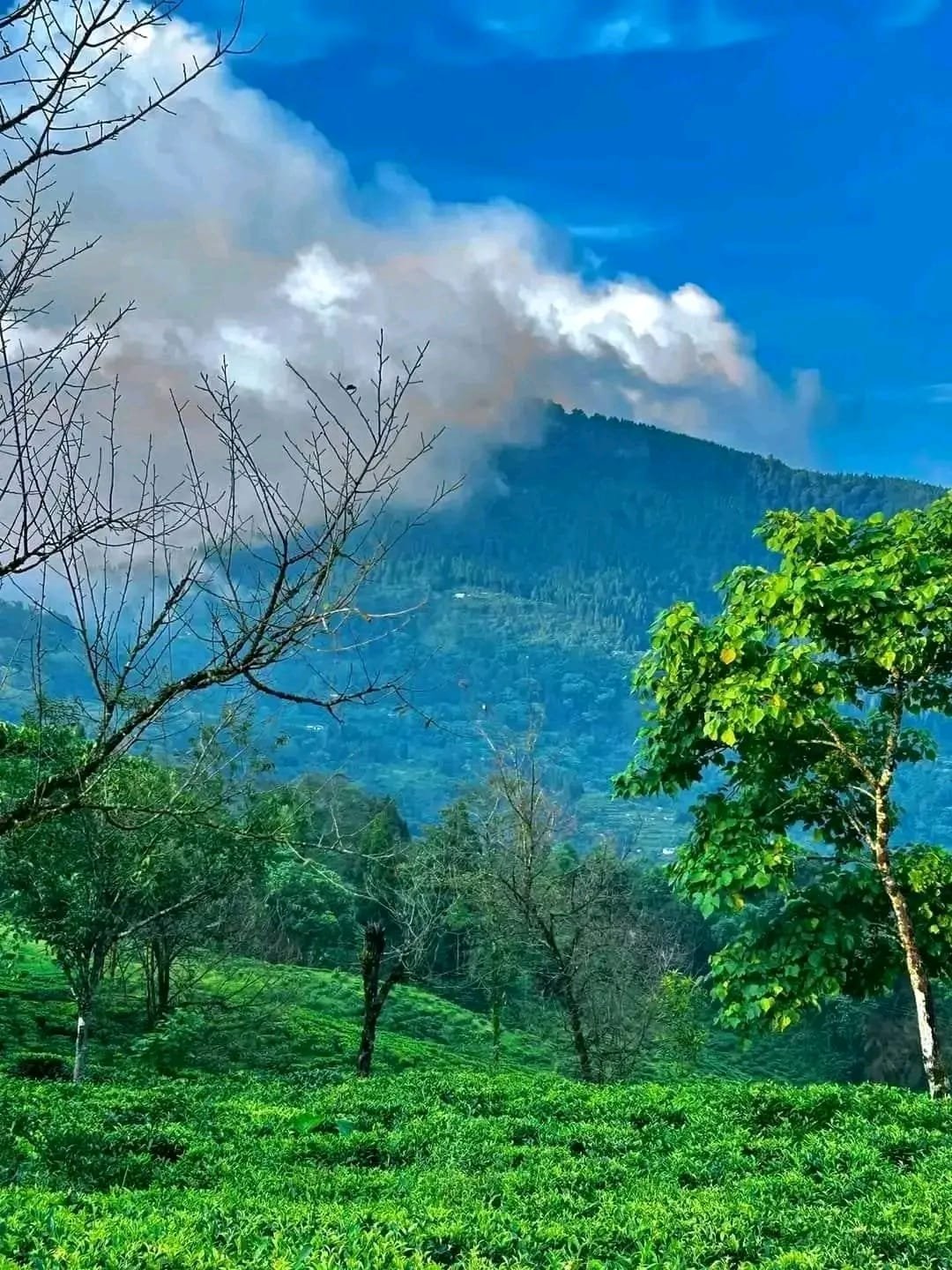 Tindhurey New Offbeat Destination Kalimpong Tindhurey New Offbeat Destination Kalimpong
