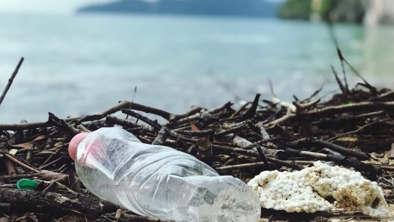 Beating Plastic Pollution: A Comprehensive Guide to Combatting the Global Crisis 8