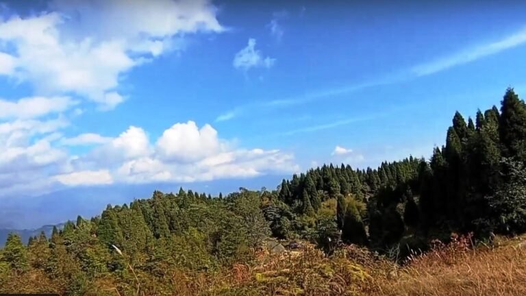 Chabbisay Viewpoint Near Mirik 7