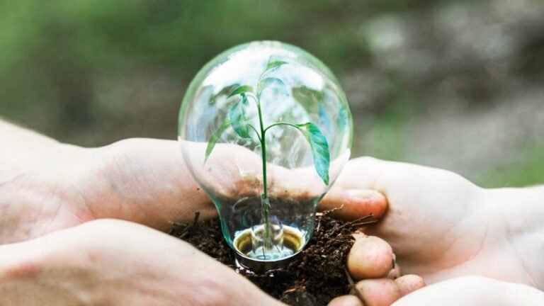 Celebrating World Environment Day: Small Actions, Big Impact 3