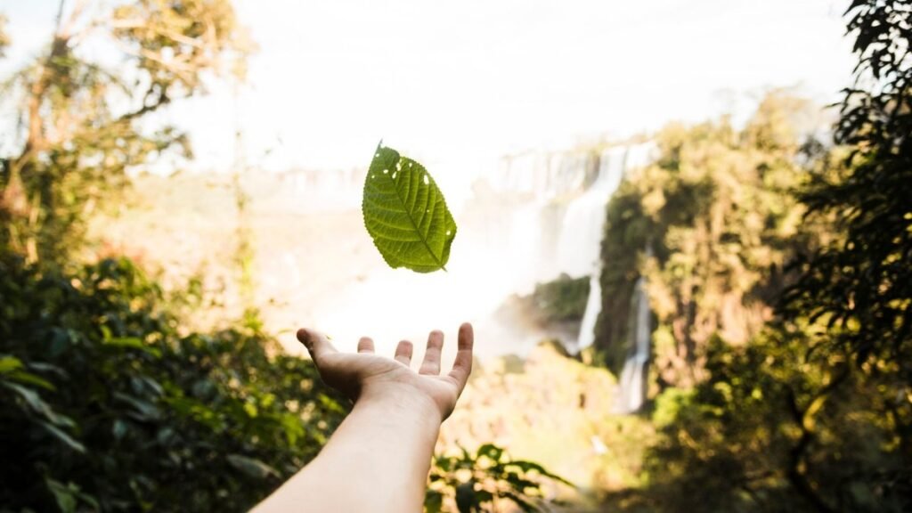 Embracing Sustainable Living: A Guide to Eco-Friendly Practices
