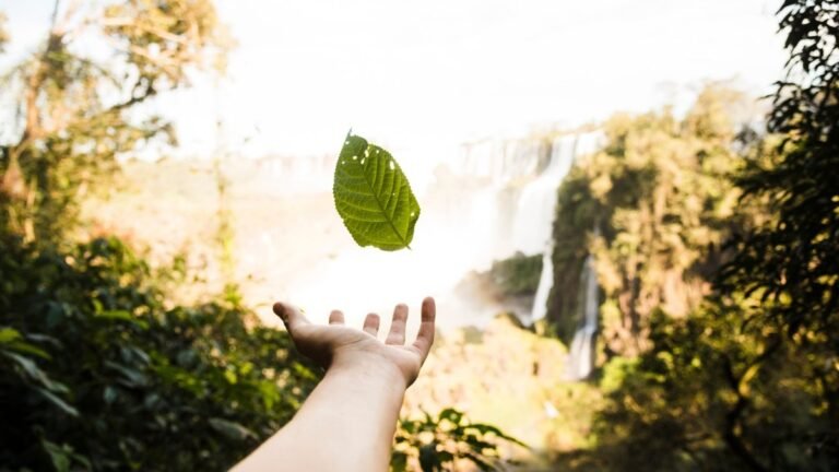 Embracing Sustainable Living: A Guide to Eco-Friendly Practices 7