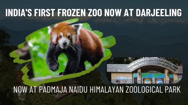 India’s First Frozen Zoo Now at Padmaja Naidu Himalayan Zoological Park 8