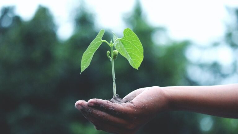 World Environment Day 9